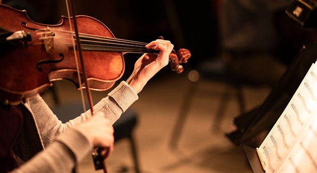 viola ©ottawagraphics - pixabay.com