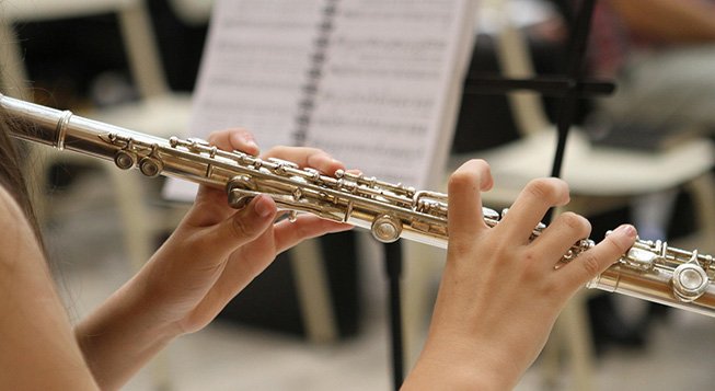 particolare orchestra ©brendageisse - pixabay.com