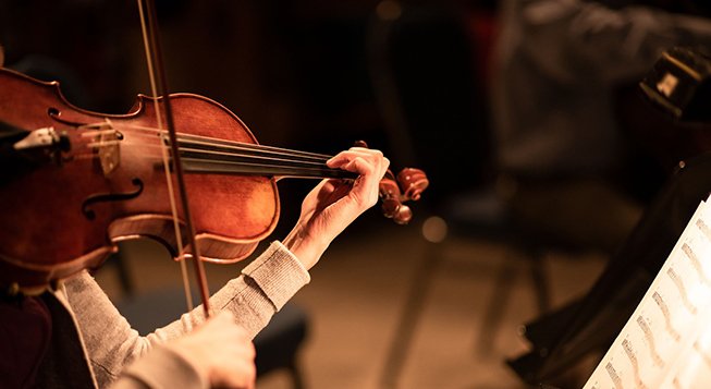 Viola © ottawagraphics/pixabay.com