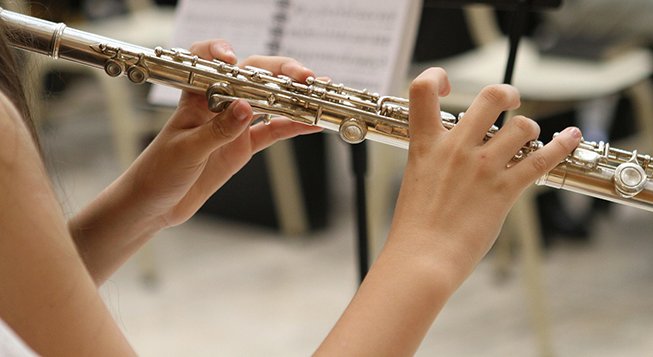 particolare orchestra © brendageisse - pixabay.com