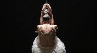 Coppelia: un ballet mecanique, con la compagnia  Blucinque 