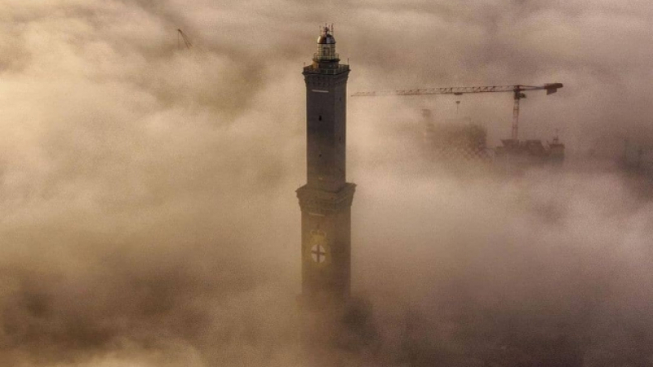 @dmseleznov - facebook.com/genovamorethanthis