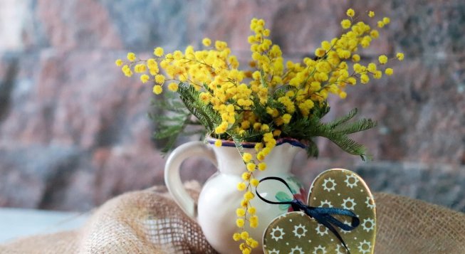 Mimosa 8 marzo