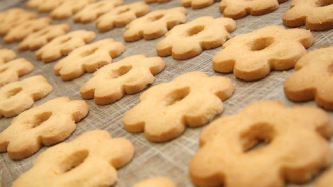 facebook.com/anticofornodacarlo