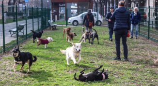 Inaugurata l'area cani in corso Galileo Ferraris a Torino con Arcaplanet