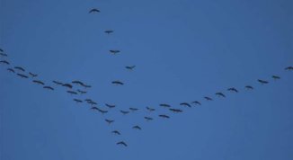 Verso la Gava aspettando le prime migrazioni di gru, escursione nel Beigua