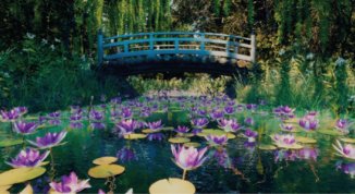 Inside Monet: la realtà virtuale svela i capolavori del Maestro a Torino