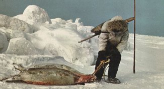 Portugal. The Man in concerto