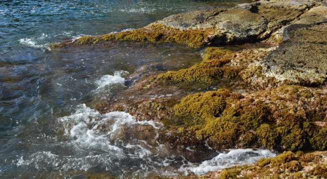 Area protetta marina Portofino