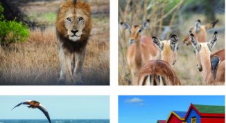 Obiettivo sul Mondo 2026, la rassegna cinematografica sul viaggio e il camminare