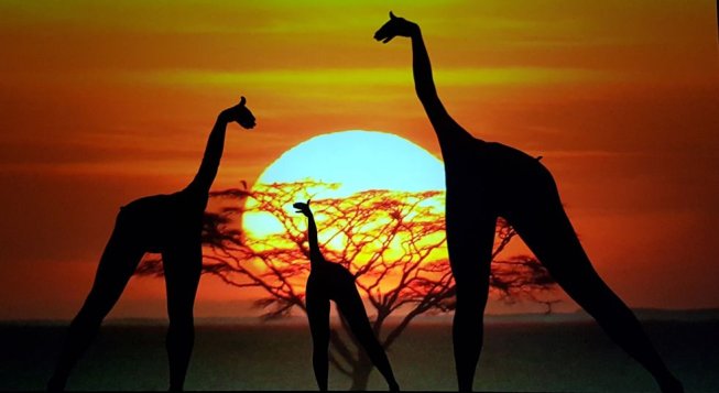 Moving Shadows: Our World! © Michaela Koehler Schaer