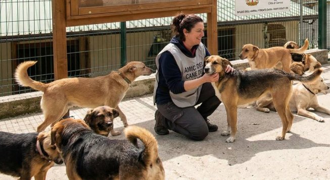 Canile © gemini per mentelocale