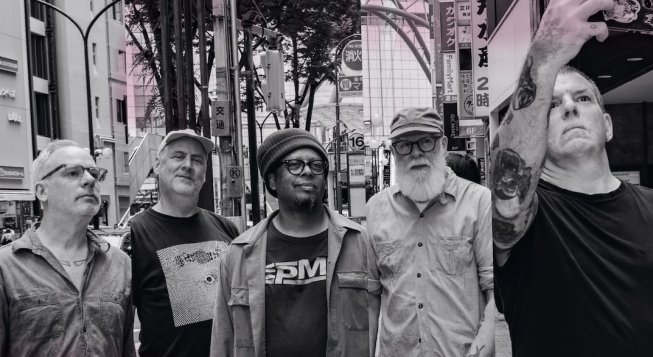 Tortoise © Yosuke Nagata