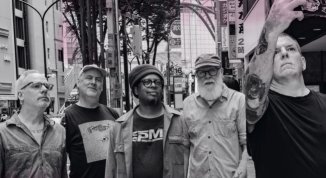 Tortoise in concerto