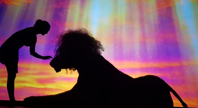 Moving Shadows: Our World! © Michaela Koehler Schaer