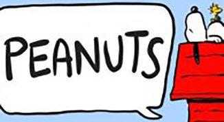 Peanuts di Fausto Paradivino