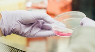 Wired Health 2026: talk e dibattiti su salute, medicina e nuove tecnologie