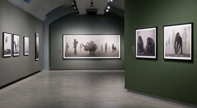 The Day May Break: la luce alla fine del giorno © Andrea Guermani