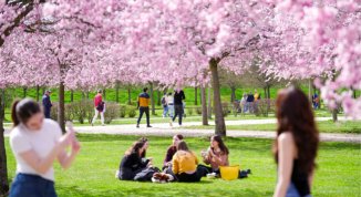 immagine notizia Mentelocale web Torino