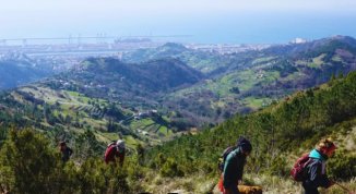 immagine notizia Mentelocale web Genova