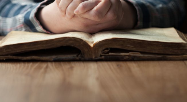 Libro © shutterstock