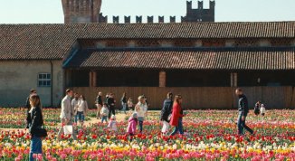 Tulipani al Castello 2026, campo fiorito con eventi e attività