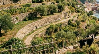 Pranzo di Pasquetta 2026 all'azienda agricola Tutti Giù per Terra