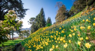 Parco storico di Villa del Grumello: riapertura di primavera 