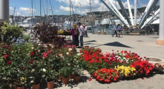 Porto Antico Verde 2026: la mostra mercato di piante, fiori, orto e giardino