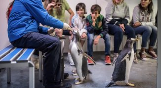 Pasqua 2026 all'Acquario di Genova e alla Città dei Bambini e dei Ragazzi: gli eventi in programma