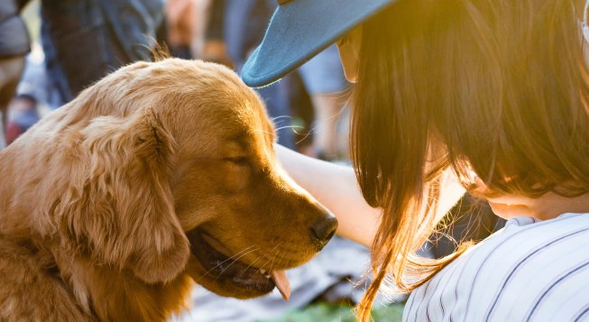 Pet therapy © Adam Griffith/Unsplash