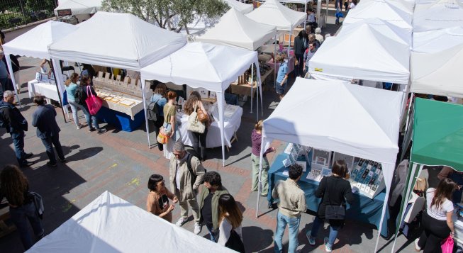 ©facebook.com/cactusgenova