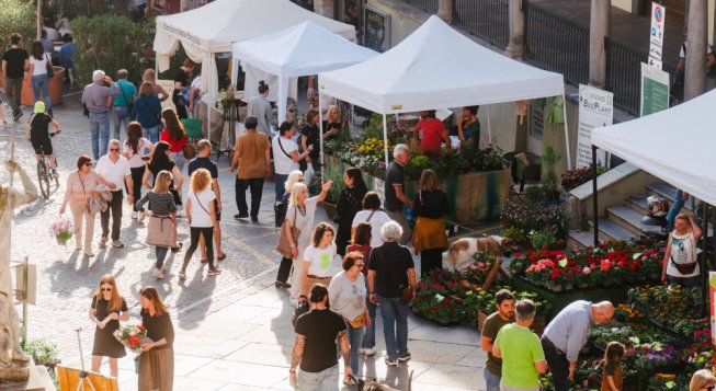 Florì a Moncalieri