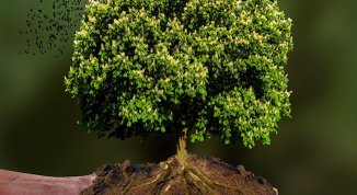 Impronte: rassegna dedicata al cambiamento climatico