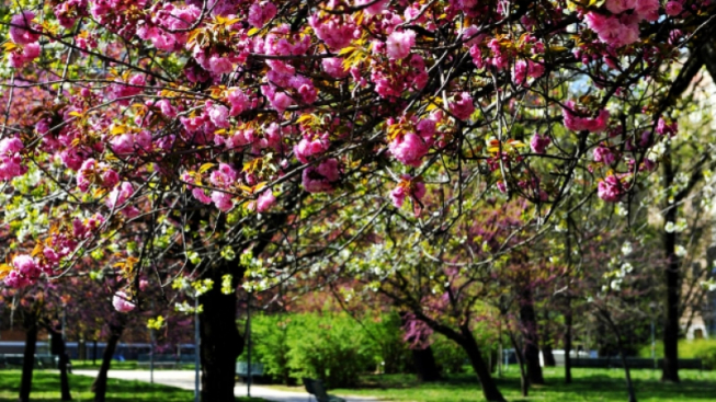 © Flickr.com / Comune di Milano