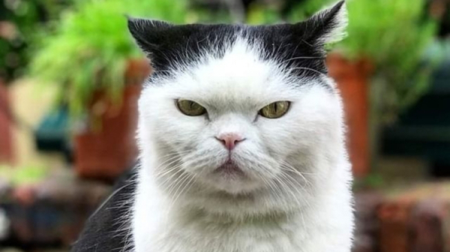 instagram.com/seppia_theofficial