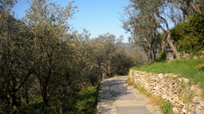 commons.wikimedia.org