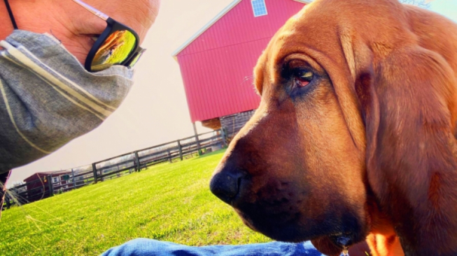 Flickr.com / Governor Tom Wolf