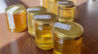 Mieli dei Parchi della Liguria: ecco i migliori e i produttori premiati