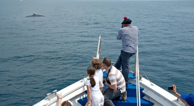 Acquario di Genova: le iniziative per il 25 aprile e il ponte del 1 maggio