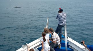 Acquario di Genova: le iniziative per il 25 aprile e il ponte del 1 maggio