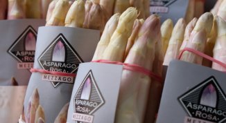 Sagra dell'Asparago Rosa di Mezzago 2026