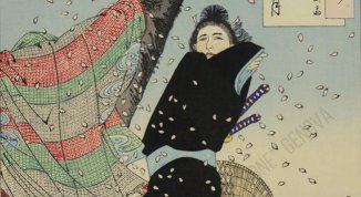 Tokugawa: una pace apparente, visita guidata al Museo Chiossone