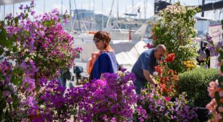 Yacht & Garden 2026 alla Marina, la mostra-mercato di fiori con imbarcazioni d'epoca