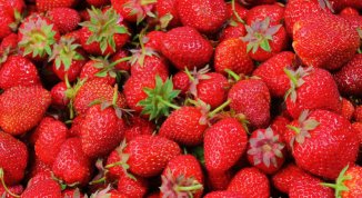 Sagra della Fragola a Rossiglione 2026 con fragole, mercatino e sport
