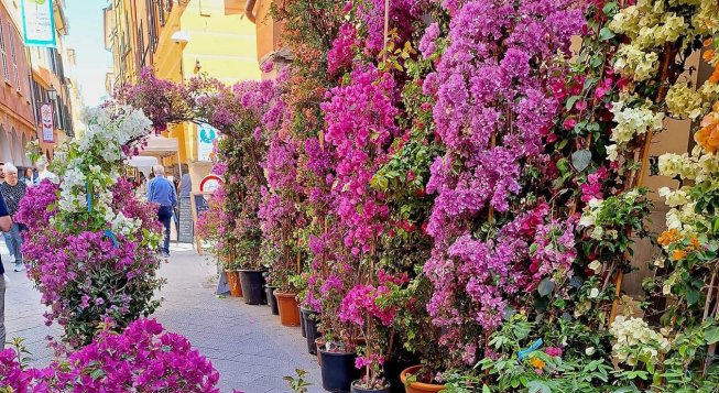 ©Facebook.com/civchiavari