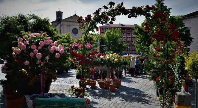 Giaveno