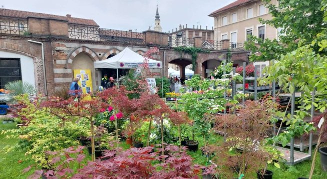 Fiori & Vini a Carignano