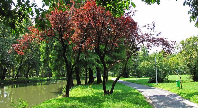 Parco Lambro © Paolo / Flickr