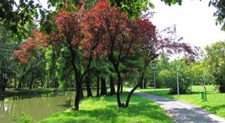 Meraviglie e tesori nascosti nei parchi di Milano: passeggiate botaniche gratuite con le Guardie Ecologiche Volontarie